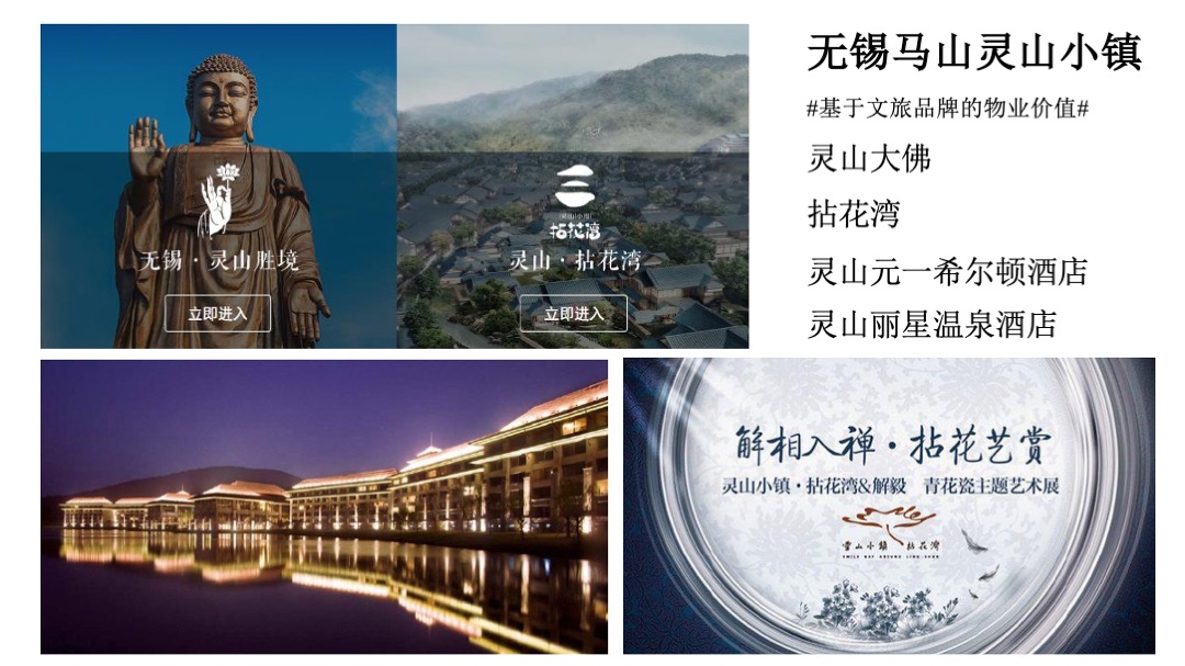 祥源花文旅小镇推广