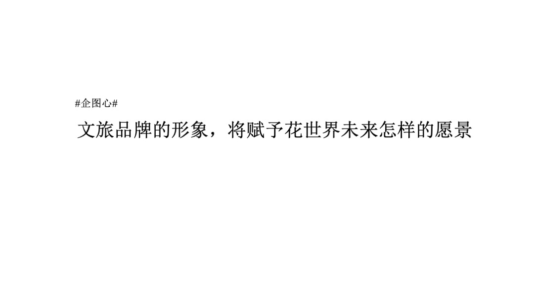 祥源花文旅小镇推广