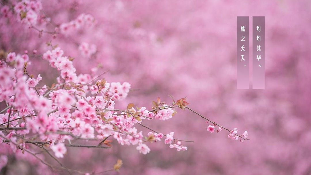 文旅项目春季（诗里田园春游记主题）活动策划方案