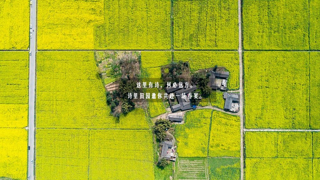 文旅项目春季（诗里田园春游记主题）活动策划方案