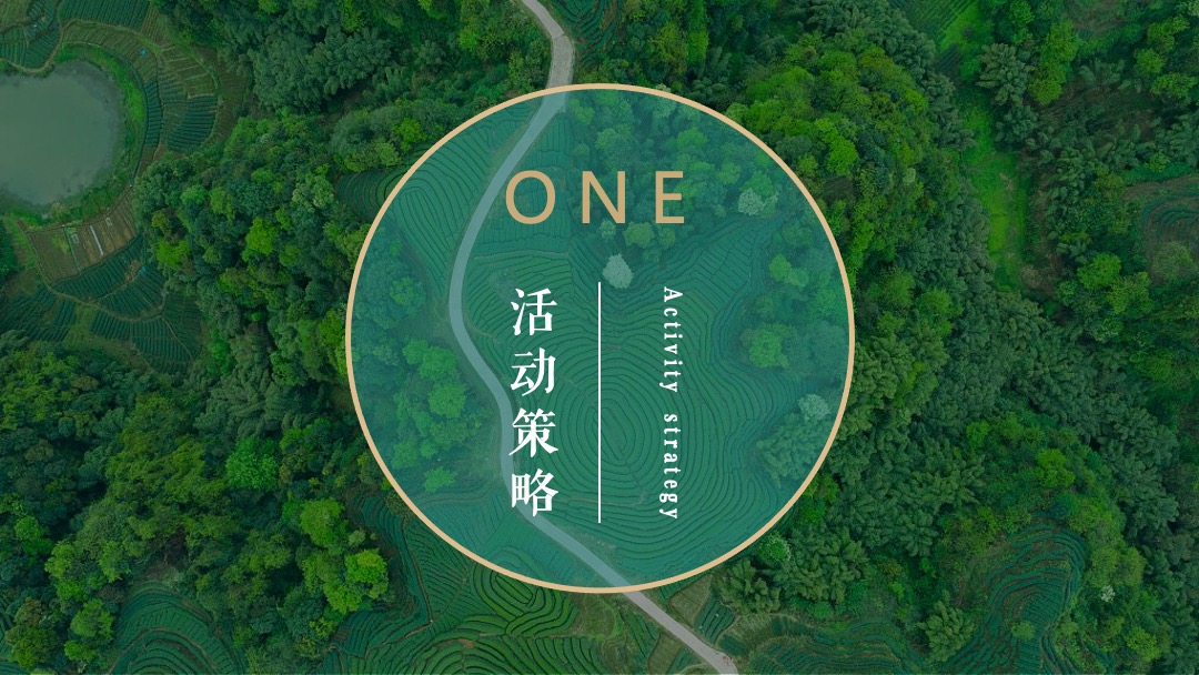 文旅项目春季（诗里田园春游记主题）活动策划方案