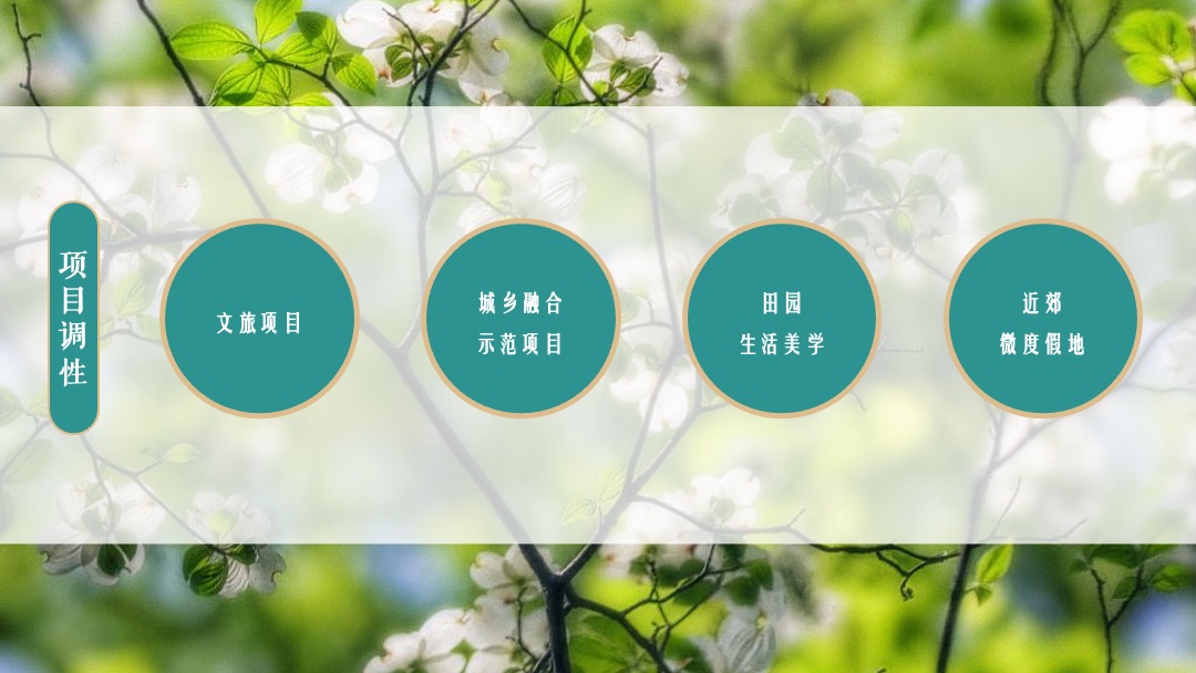 文旅项目春季（诗里田园春游记主题）活动策划方案