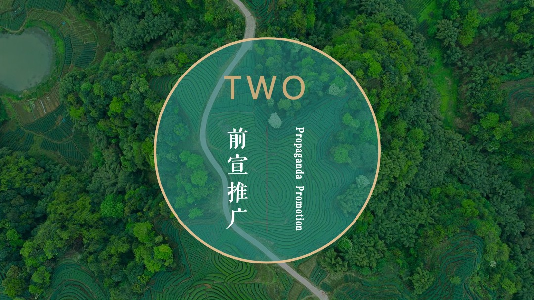 文旅项目春季（诗里田园春游记主题）活动策划方案