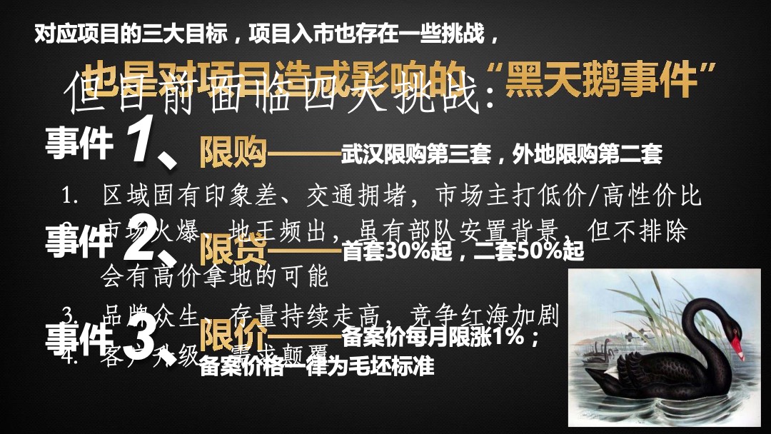 华润琨瑜府营销策略报告