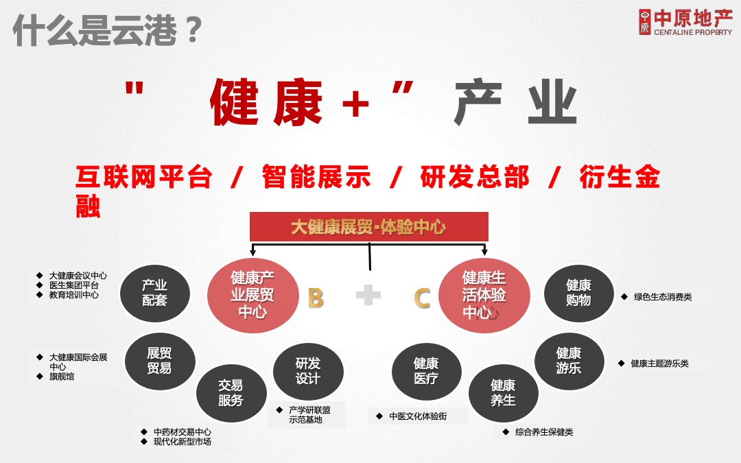 广州国际医药港公寓营销投标报告