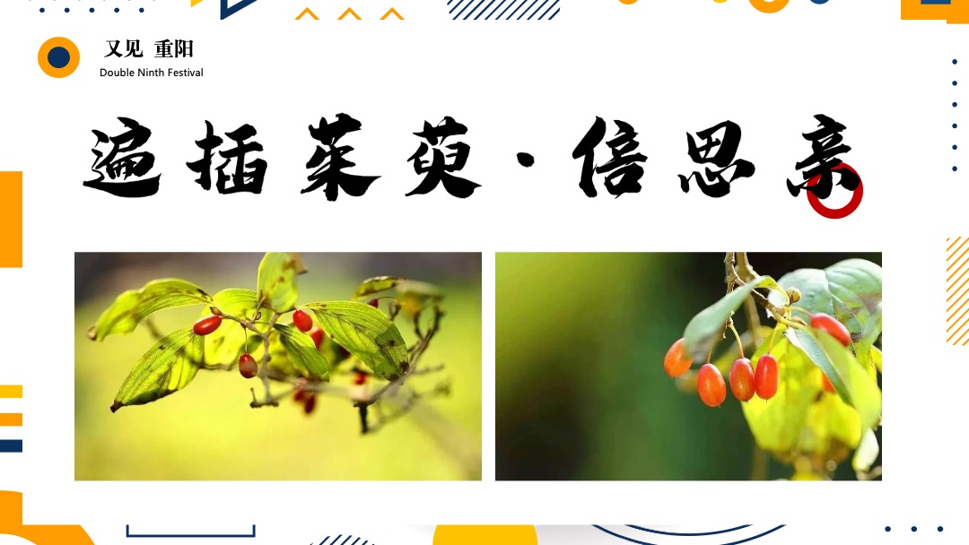 地产项目社区重阳节亲子系列（又见重阳主题）活动策划方案