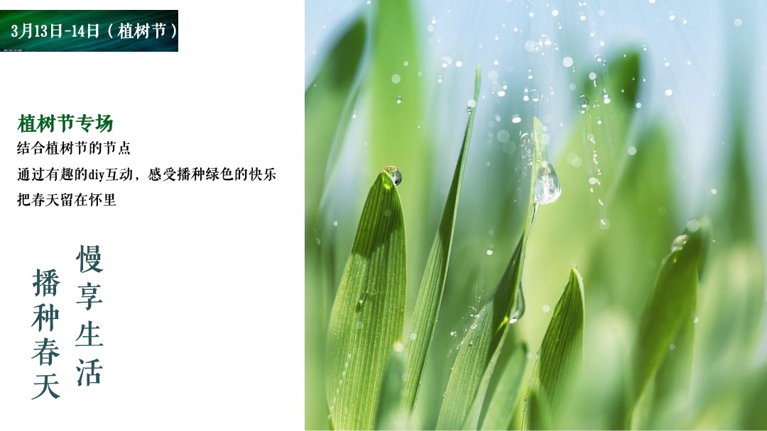 地产类年度周末暖场（美好时光 纵享生活主题）活动策划方案