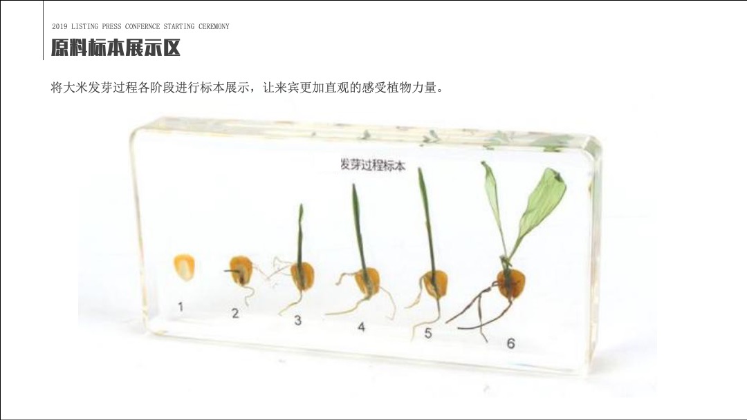 快消品牌产品上市发布会暨京东自营平台首发仪式活动方案