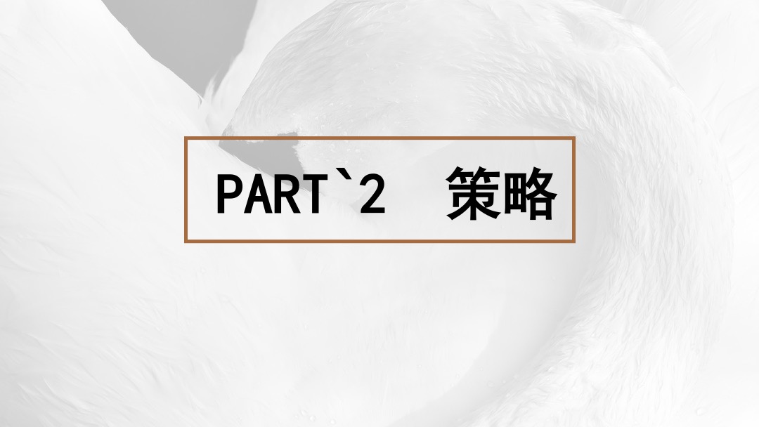 地产项目线上营销推广策划方案