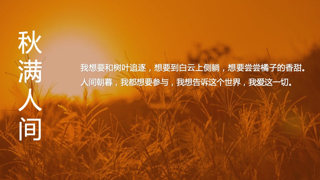 国庆节系列暖场（舌尖上的秋天主题）活动策划方案