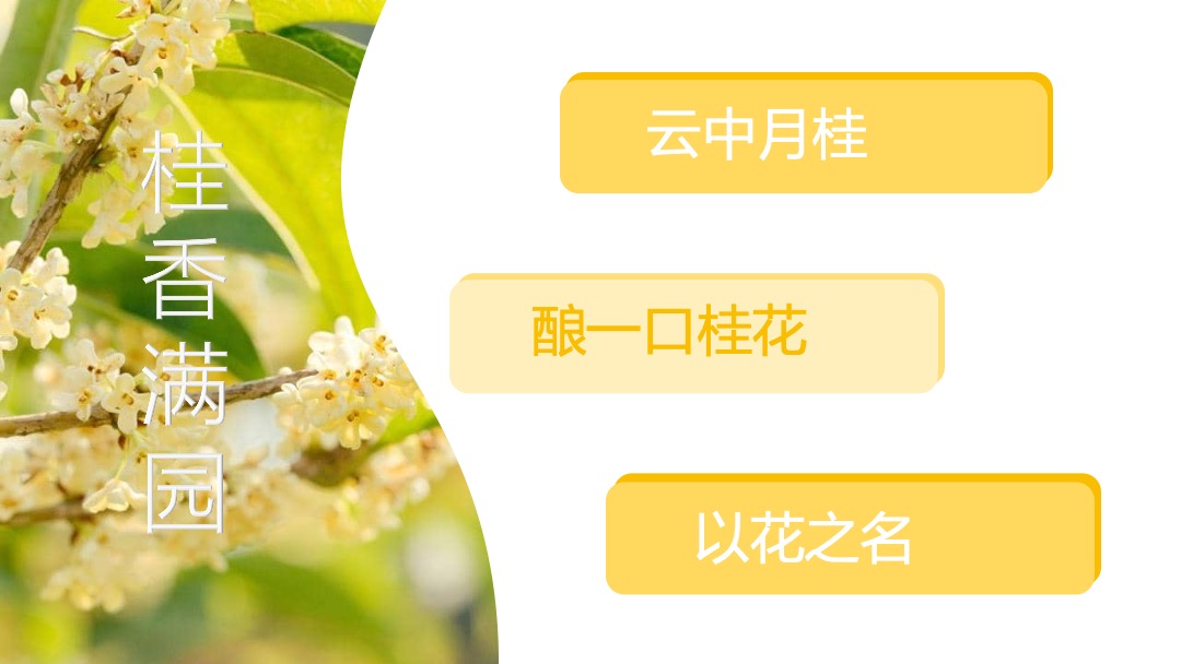 国庆节系列暖场（舌尖上的秋天主题）活动策划方案