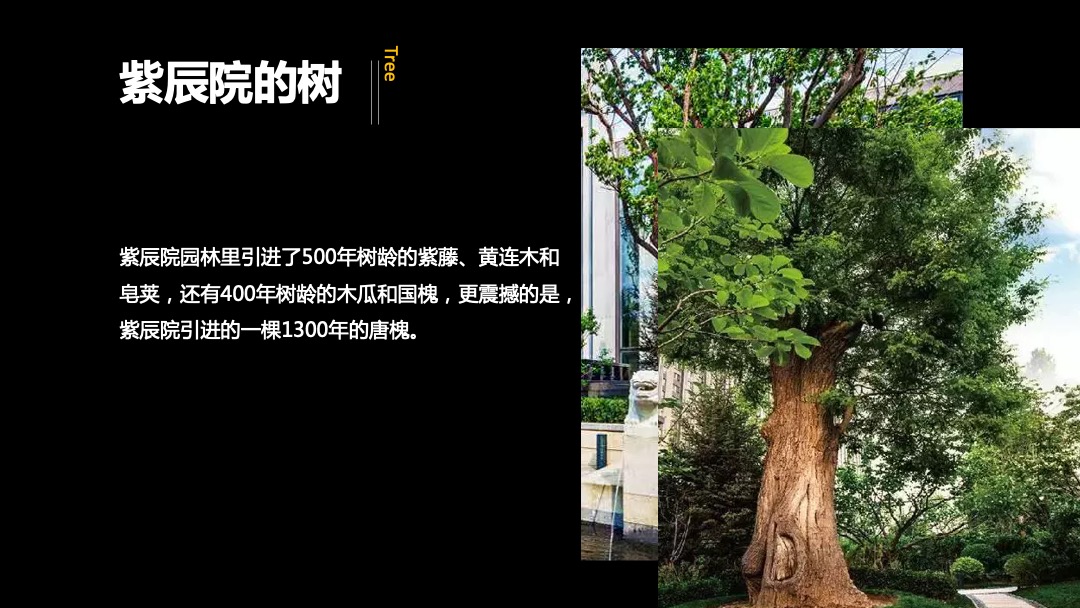 天和二期别墅营销提报