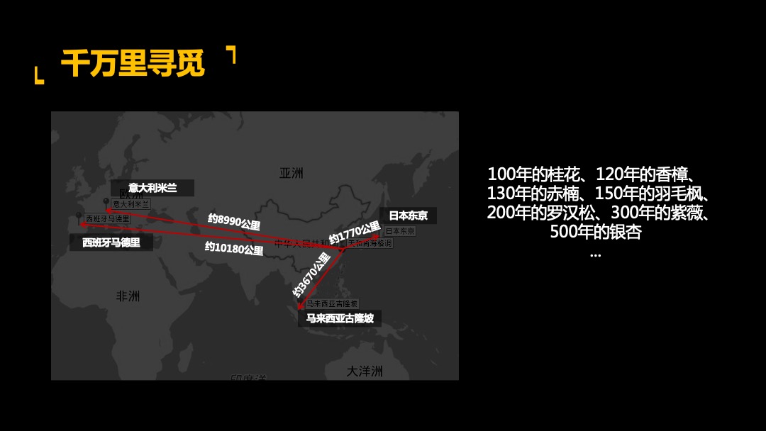 天和二期别墅营销提报