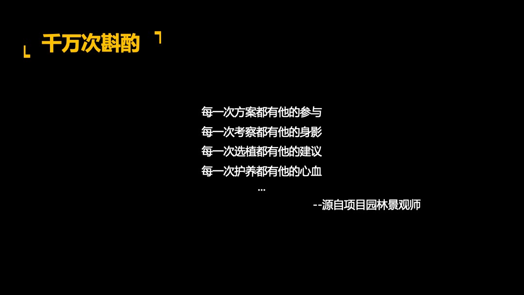 天和二期别墅营销提报