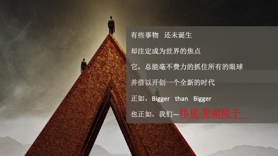 伟星芜湖院子营销提报