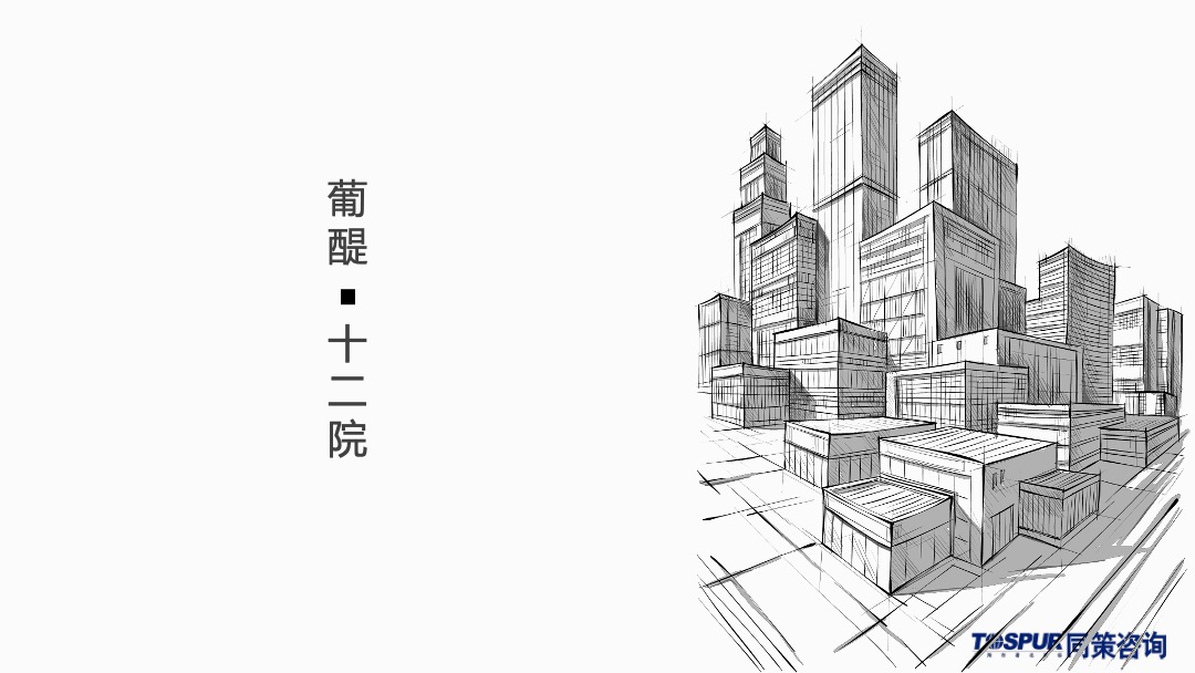 沈阳葡醍十二院营销策划提报