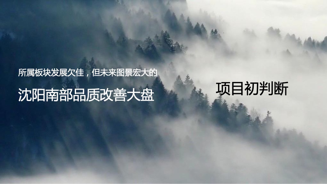 沈阳葡醍十二院营销策划提报