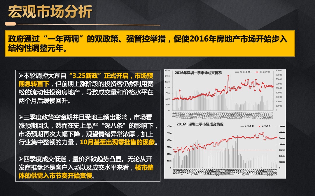 中洲中央公寓营销执行报告