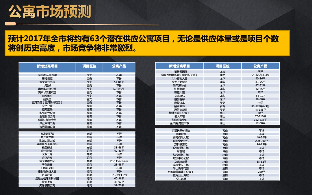 中洲中央公寓营销执行报告