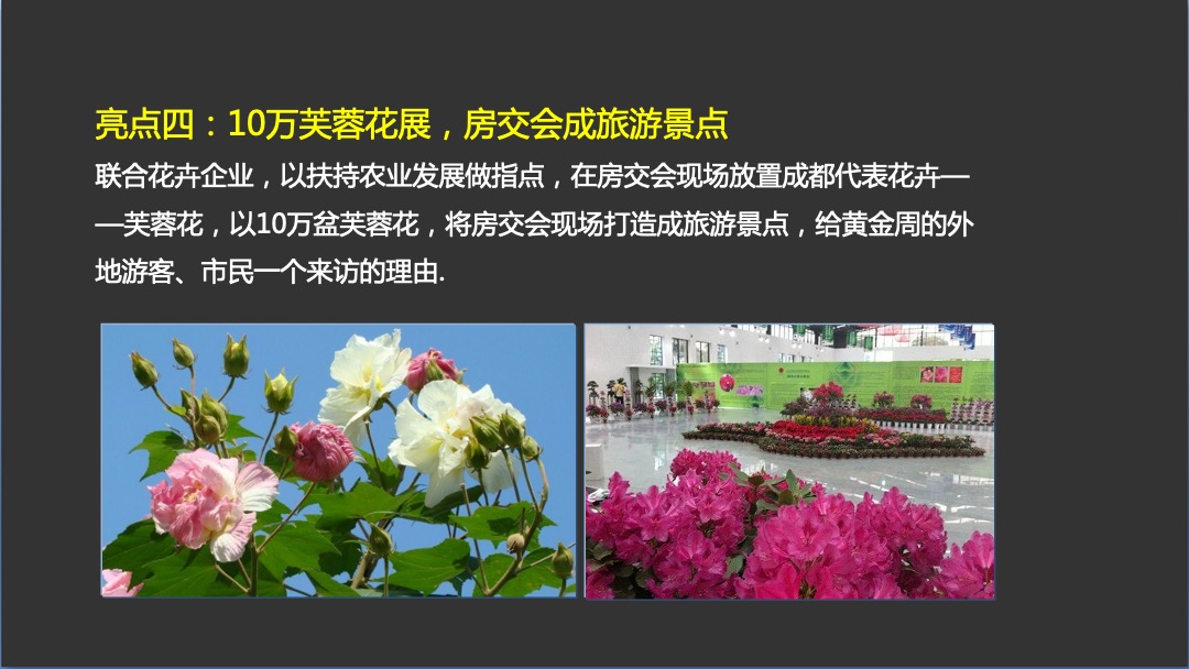 古怪科技房管局秋交会方案