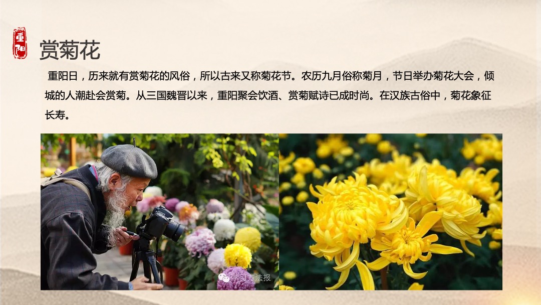 地产项目重阳节特色专场（福满金秋·相约重阳主题）活动策划方案