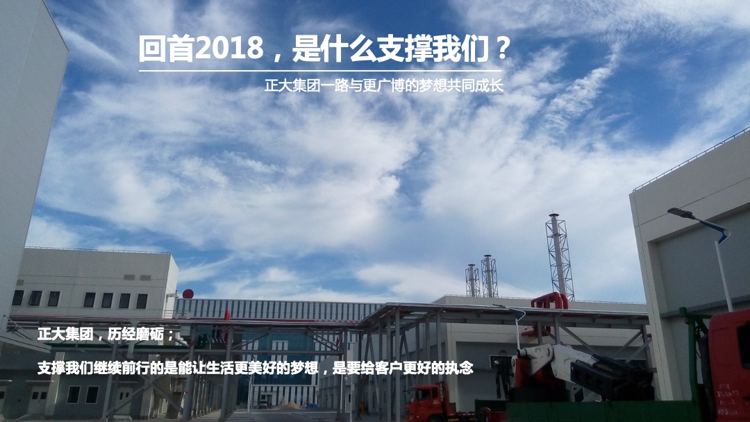 公司新春团拜会（新跨越  赢未来主题）活动策划方案