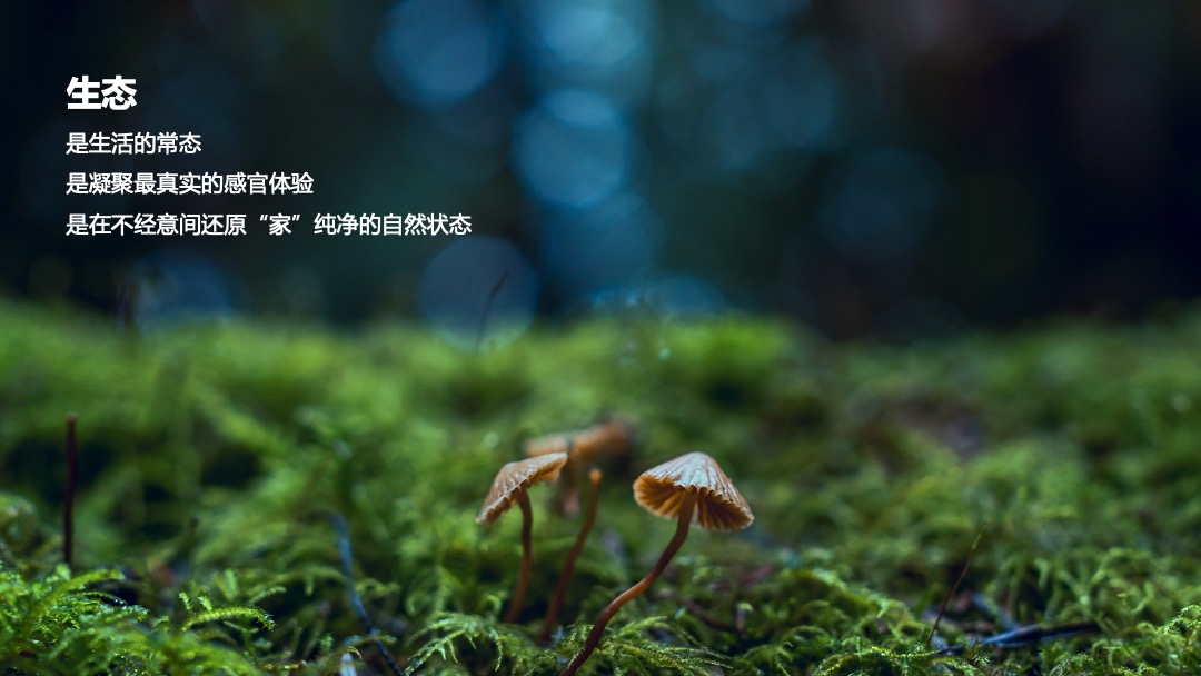 长虹-5G生态成套家电品鉴会活动方案