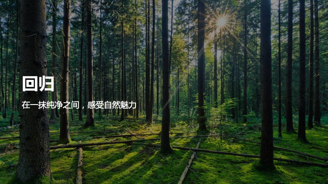 长虹-5G生态成套家电品鉴会活动方案