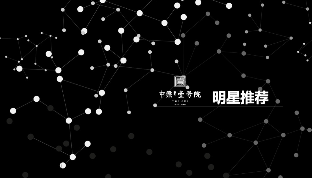 中梁壹号院群星演唱会暨业主答谢会策划案