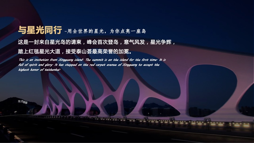 企业精英高峰会（星光璀璨·逐梦前行主题）活动策划方案