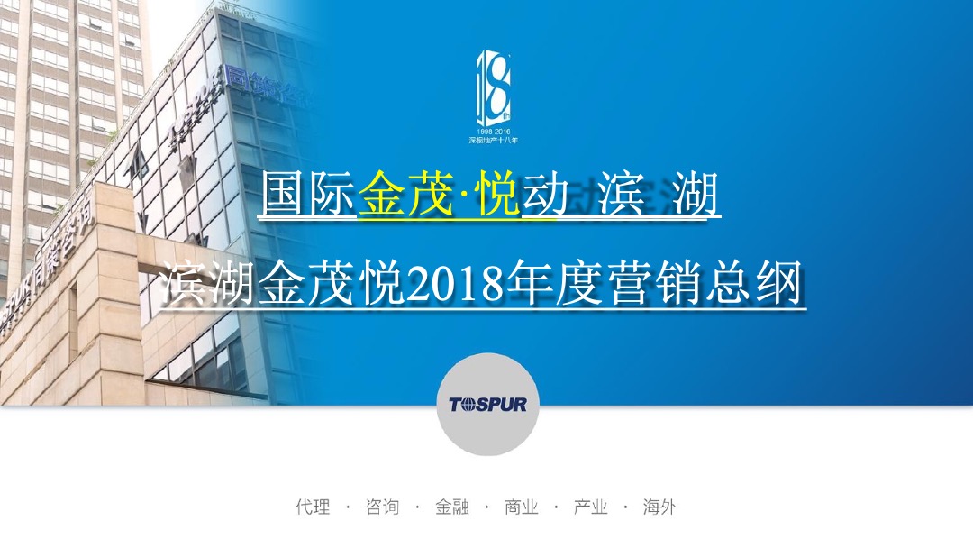 合肥金茂悦年度营销总纲方案