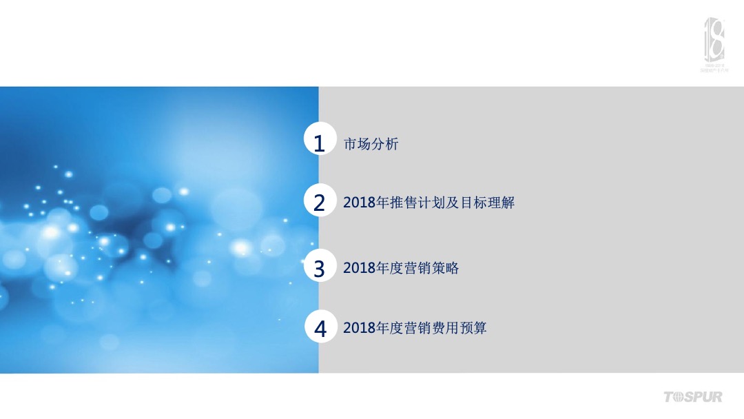 合肥金茂悦年度营销总纲方案