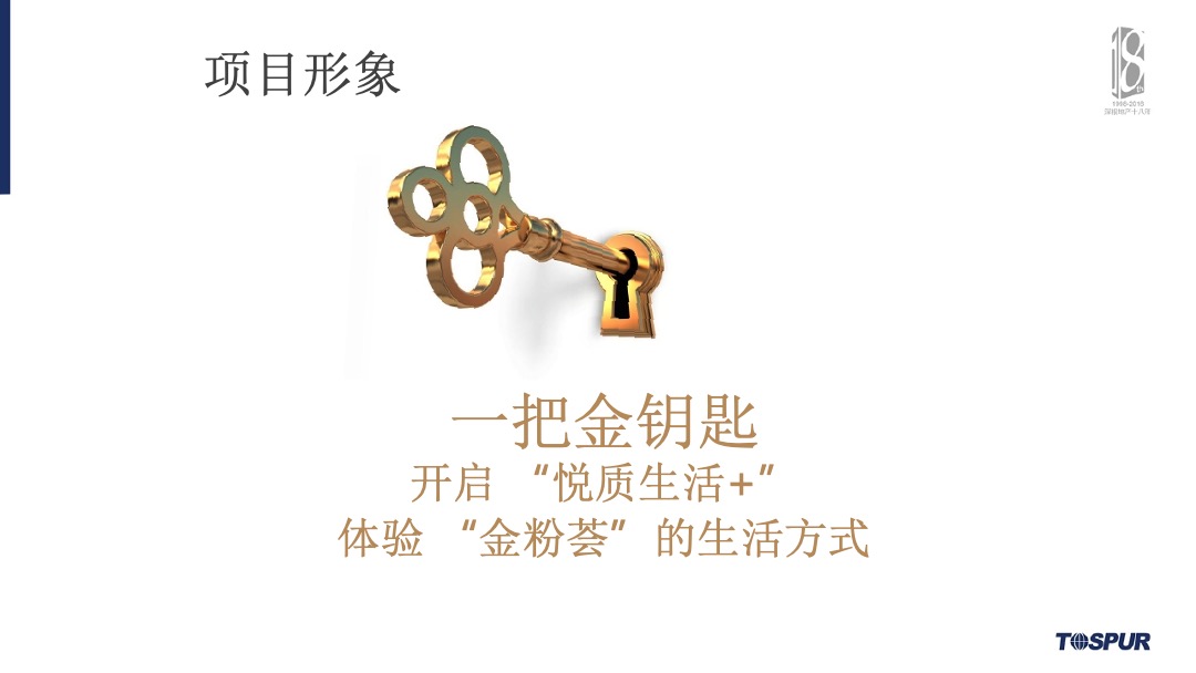 合肥金茂悦年度营销总纲方案