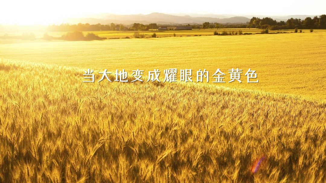 地产项目秋季系列暖场（秋日物语主题）活动策划方案