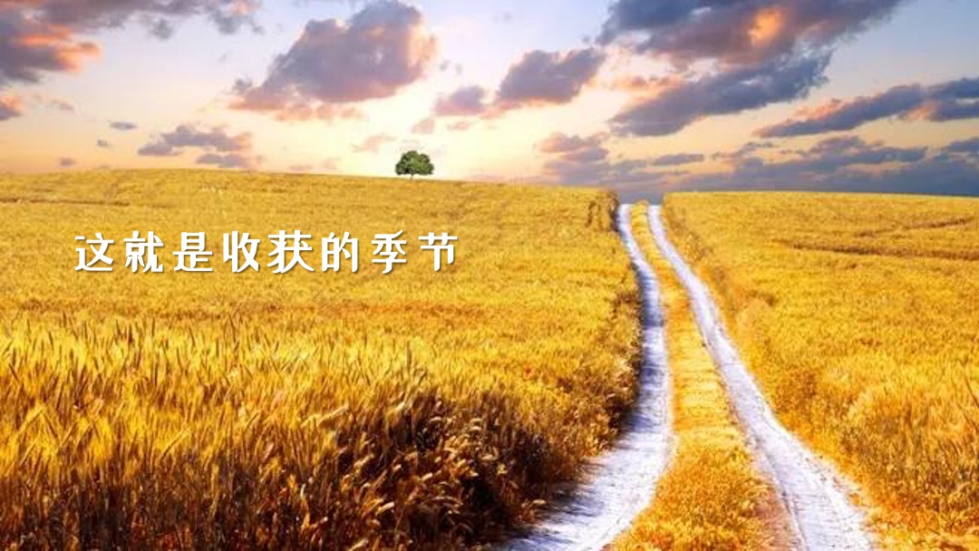 地产项目秋季系列暖场（秋日物语主题）活动策划方案