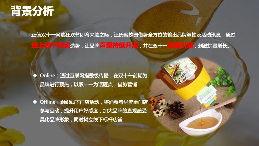 汪氏蜂蜜园食品业双11预热直播活动规划案