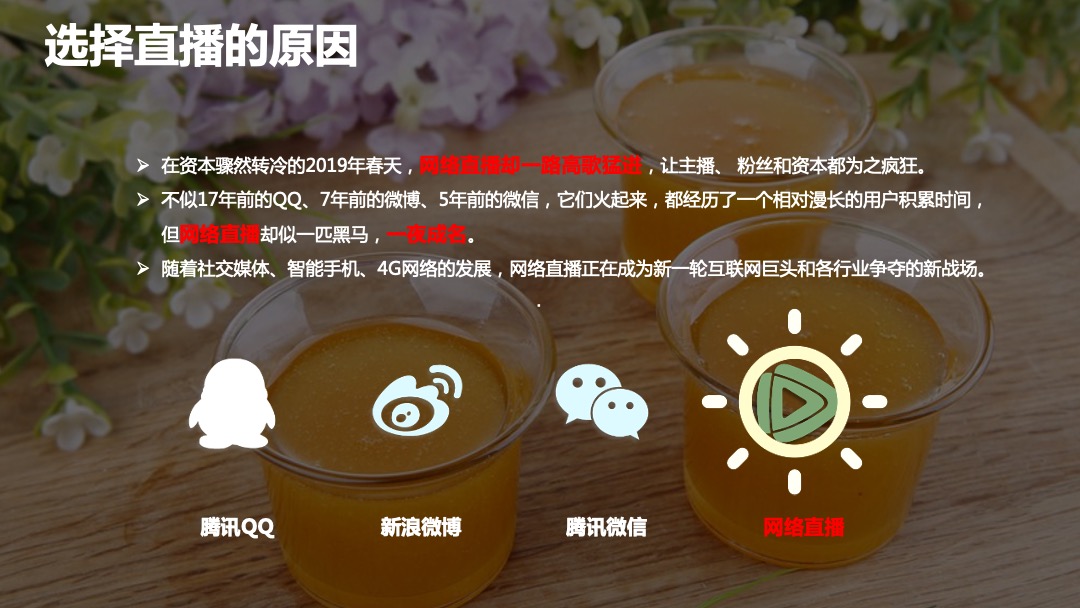 汪氏蜂蜜园食品业双11预热直播活动规划案