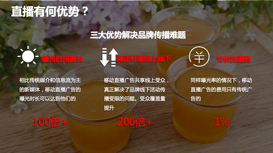 汪氏蜂蜜园食品业双11预热直播活动规划案