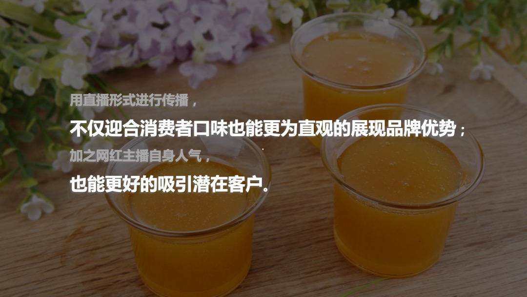 汪氏蜂蜜园食品业双11预热直播活动规划案