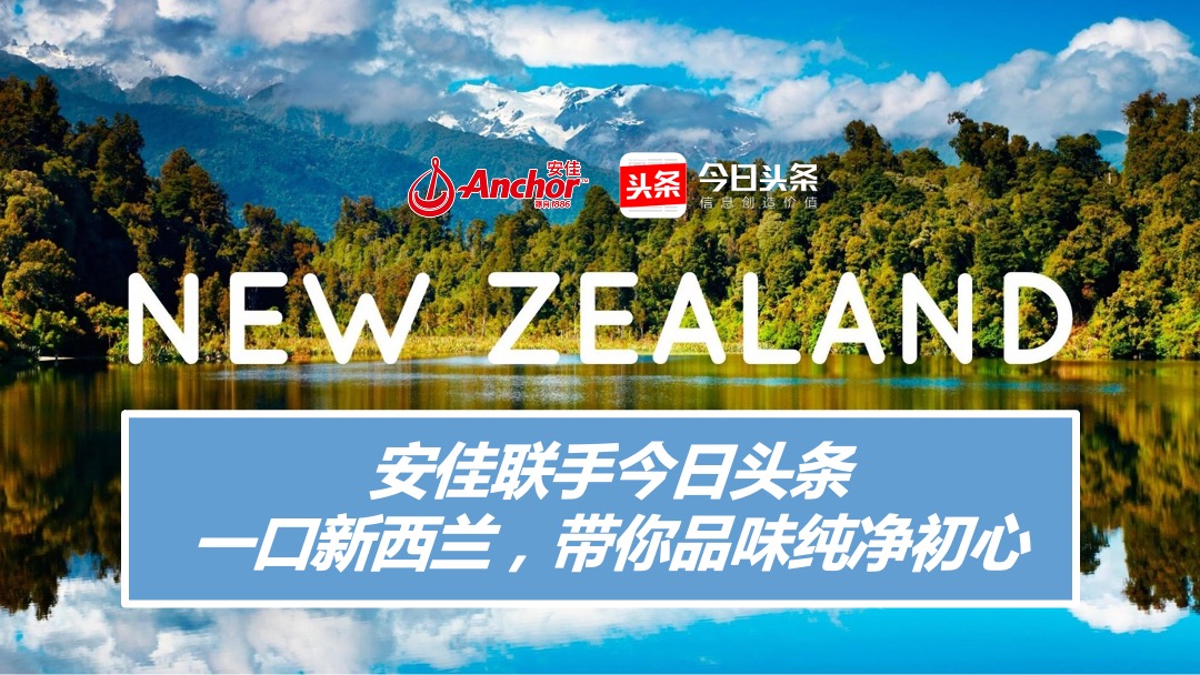 “一口新西兰”安佳双十一预热营销方案-今日头条