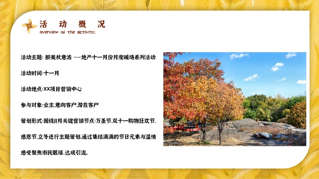 十一月系列（醉美秋意浓主题）活动策划方案