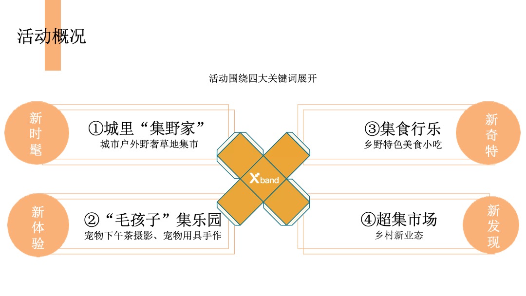 理想村x L MALL购物中心十一理想集家年华活动策划方案