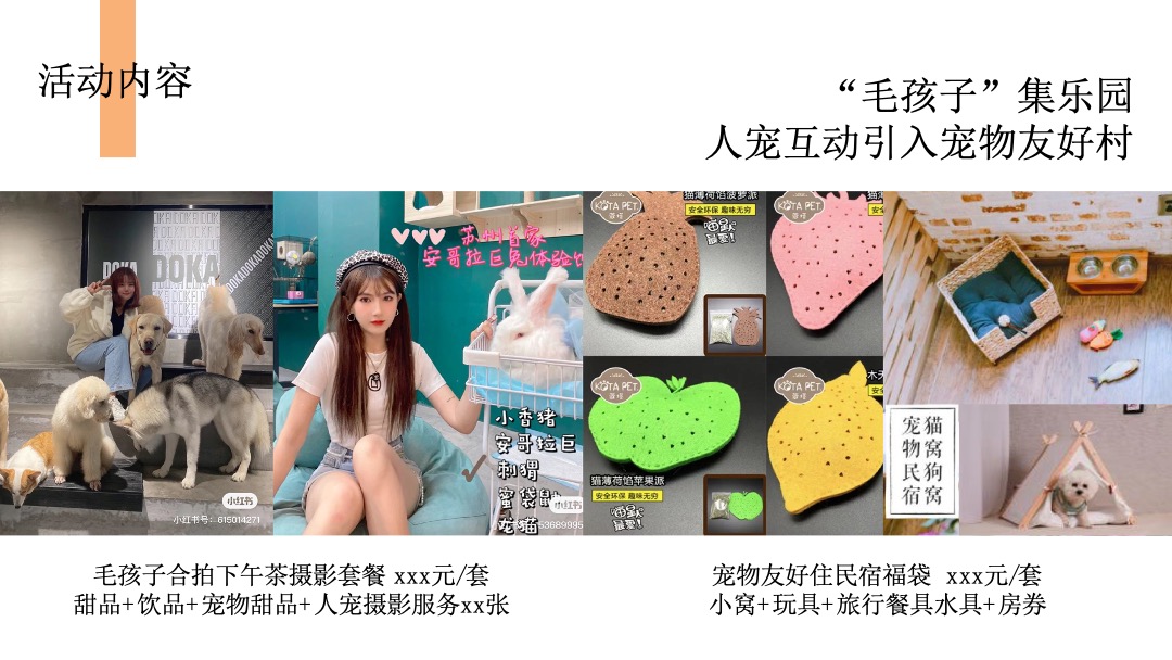 理想村x L MALL购物中心十一理想集家年华活动策划方案