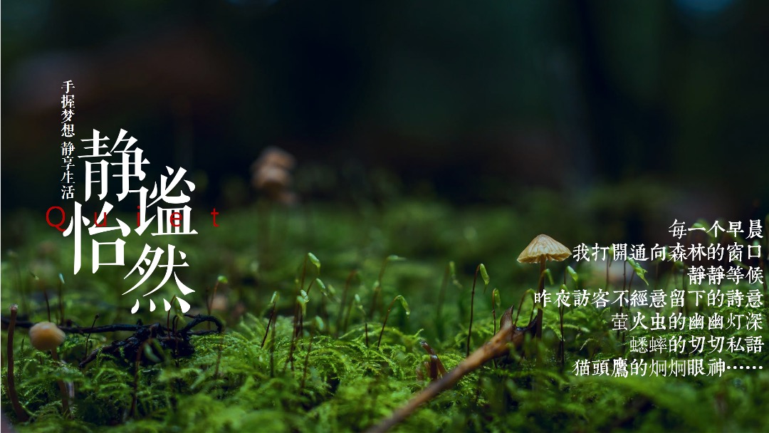 地产项目森系主题12月月度系列造势活动策划方案