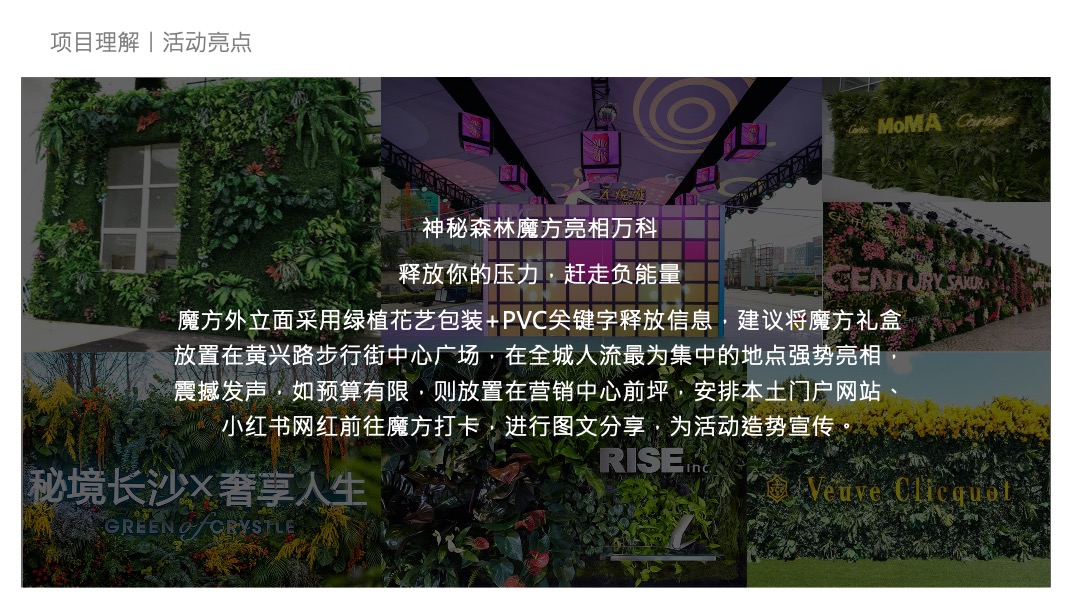 地产项目森系主题12月月度系列造势活动策划方案