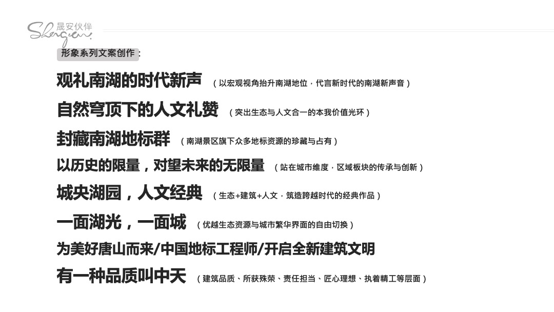 中天南湖玥【战略 定位 广告】二轮提报方案