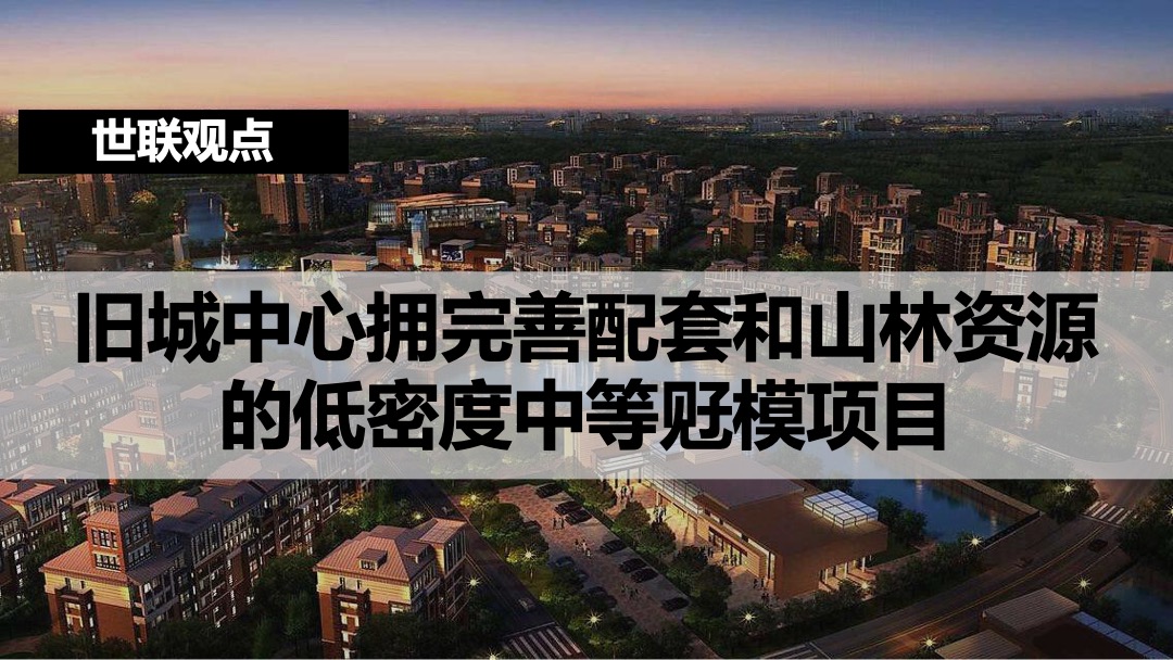 台山华侨花园项目定位与发展建议方案