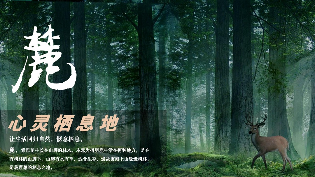 地产项目新品推出答谢晚宴（城市新生·麓園心跳主题）活动策划方案