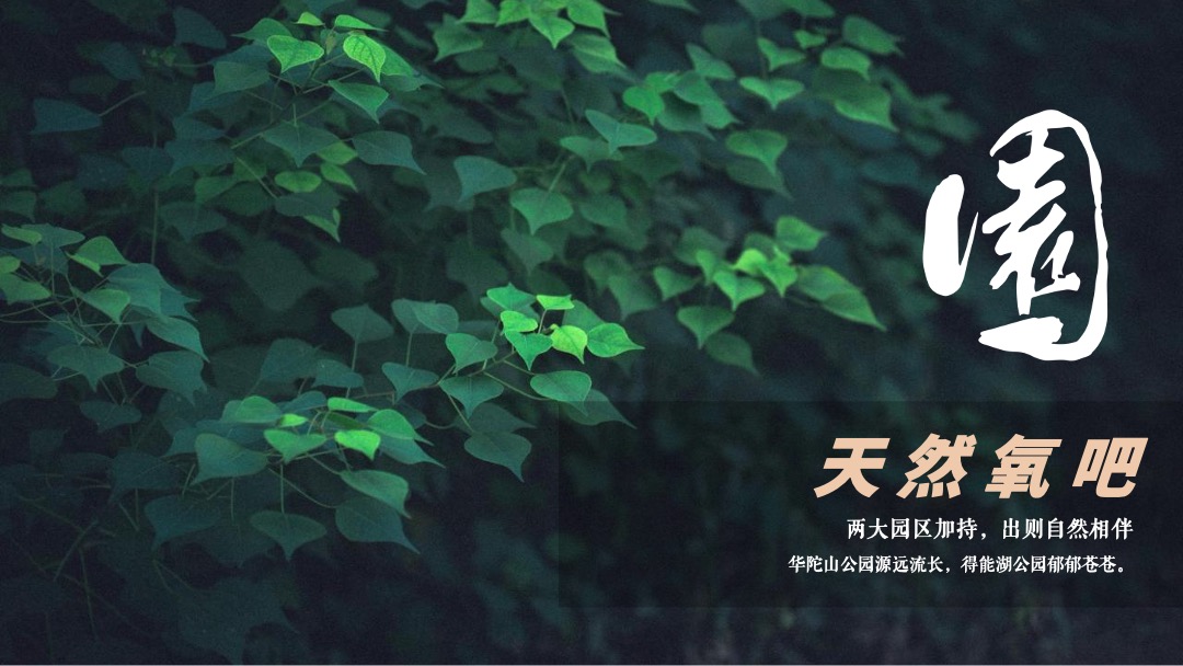 地产项目新品推出答谢晚宴（城市新生·麓園心跳主题）活动策划方案