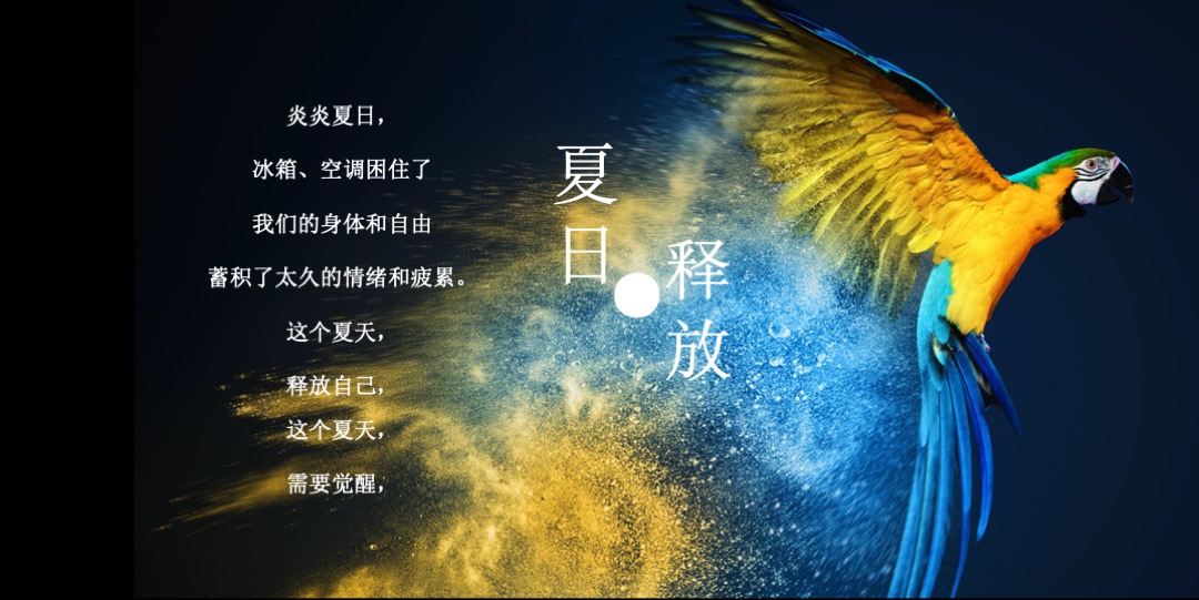 商业广场年中庆典活动